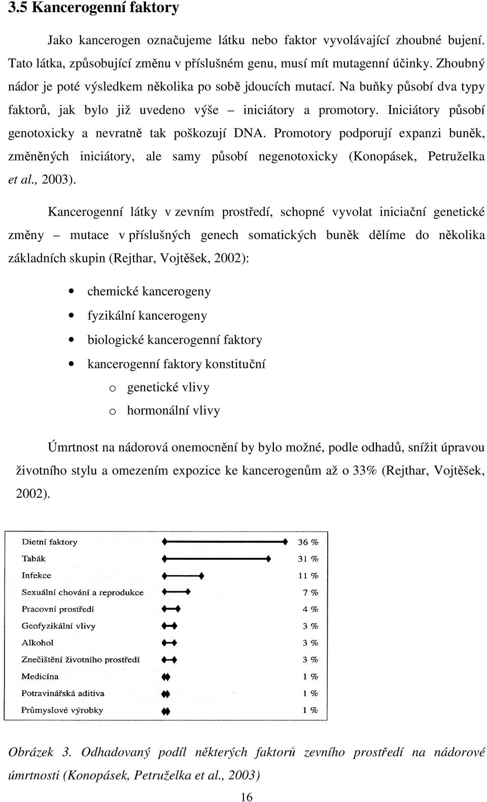 Iniciátory působí genotoxicky a nevratně tak poškozují DNA. Promotory podporují expanzi buněk, změněných iniciátory, ale samy působí negenotoxicky (Konopásek, Petruželka et al., 2003).