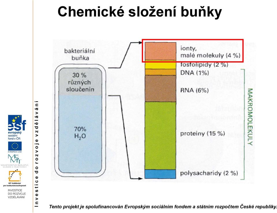 buňky