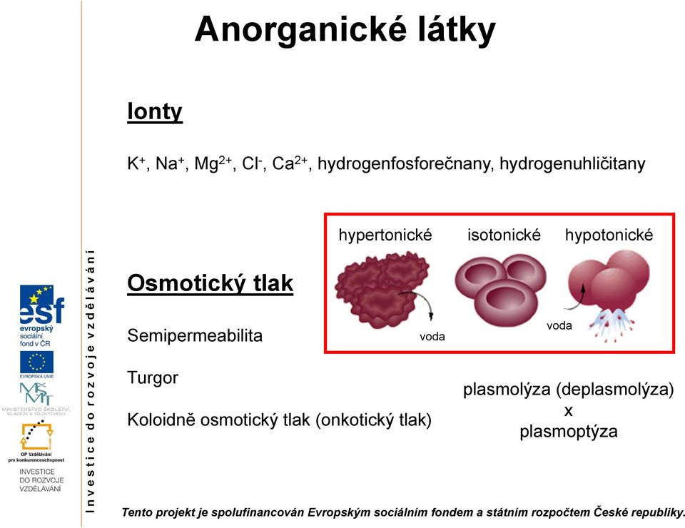 hypotonické Osmotický tlak Semipermeabilita Turgor Koloidně