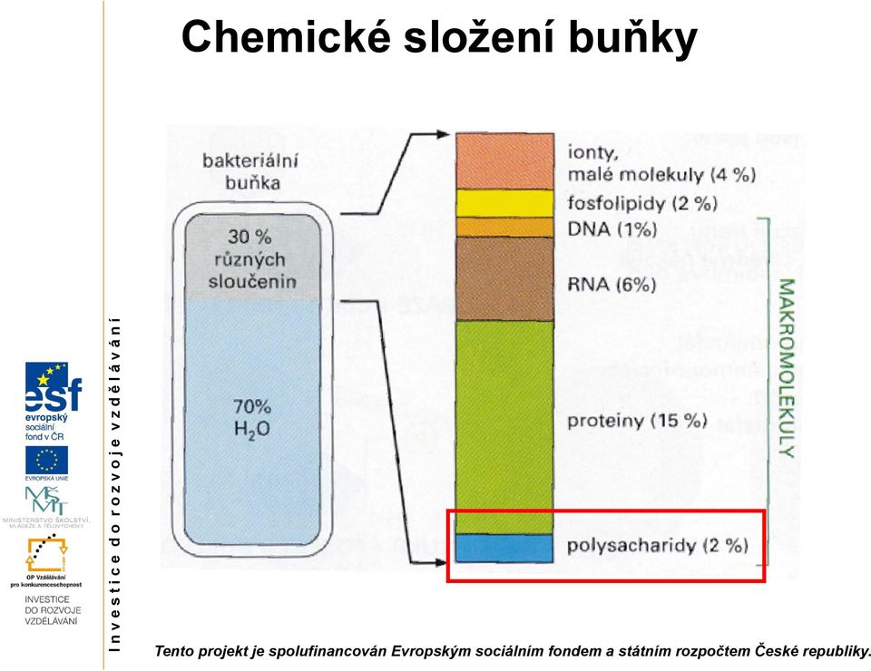 buňky