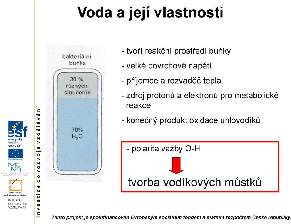 protonů a elektronů pro metabolické reakce - konečný