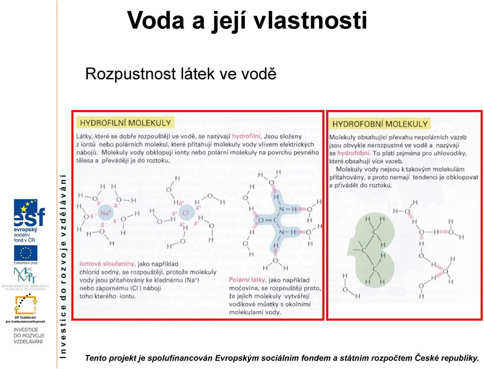 Rozpustnost