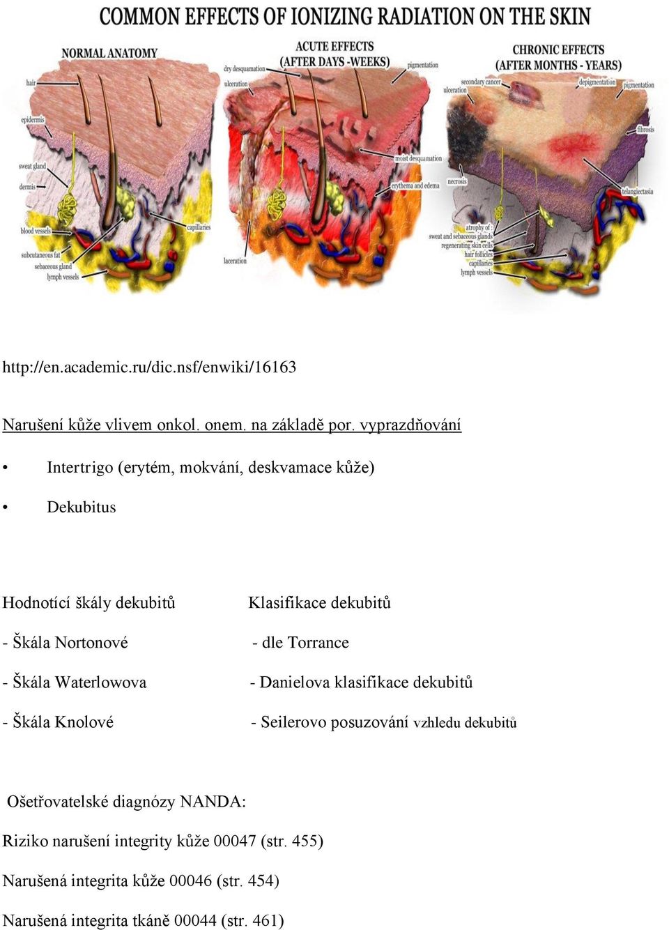 Nortonové - dle Torrance - Škála Waterlowova - Danielova klasifikace dekubitů - Škála Knolové - Seilerovo posuzování vzhledu