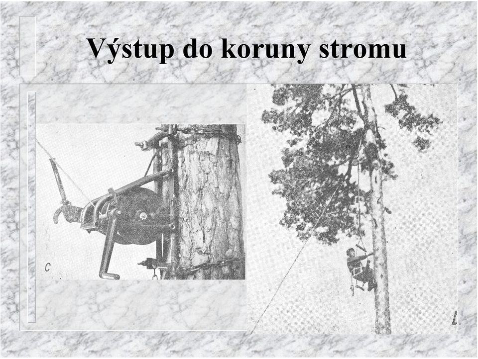 stromu