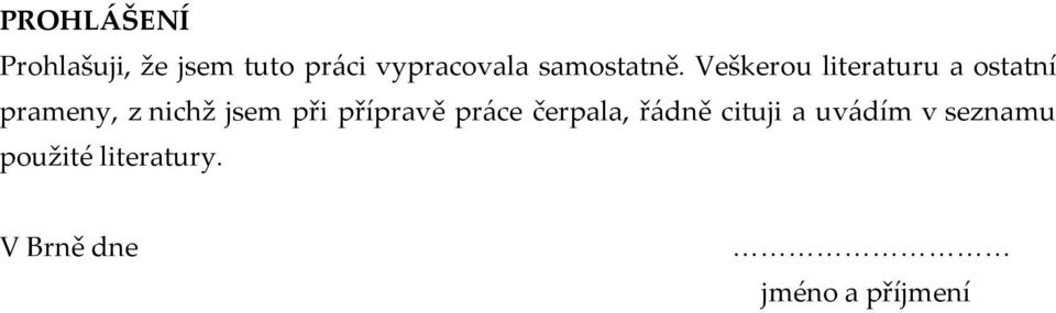 Veškerou literaturu a ostatní prameny, z nichž jsem při