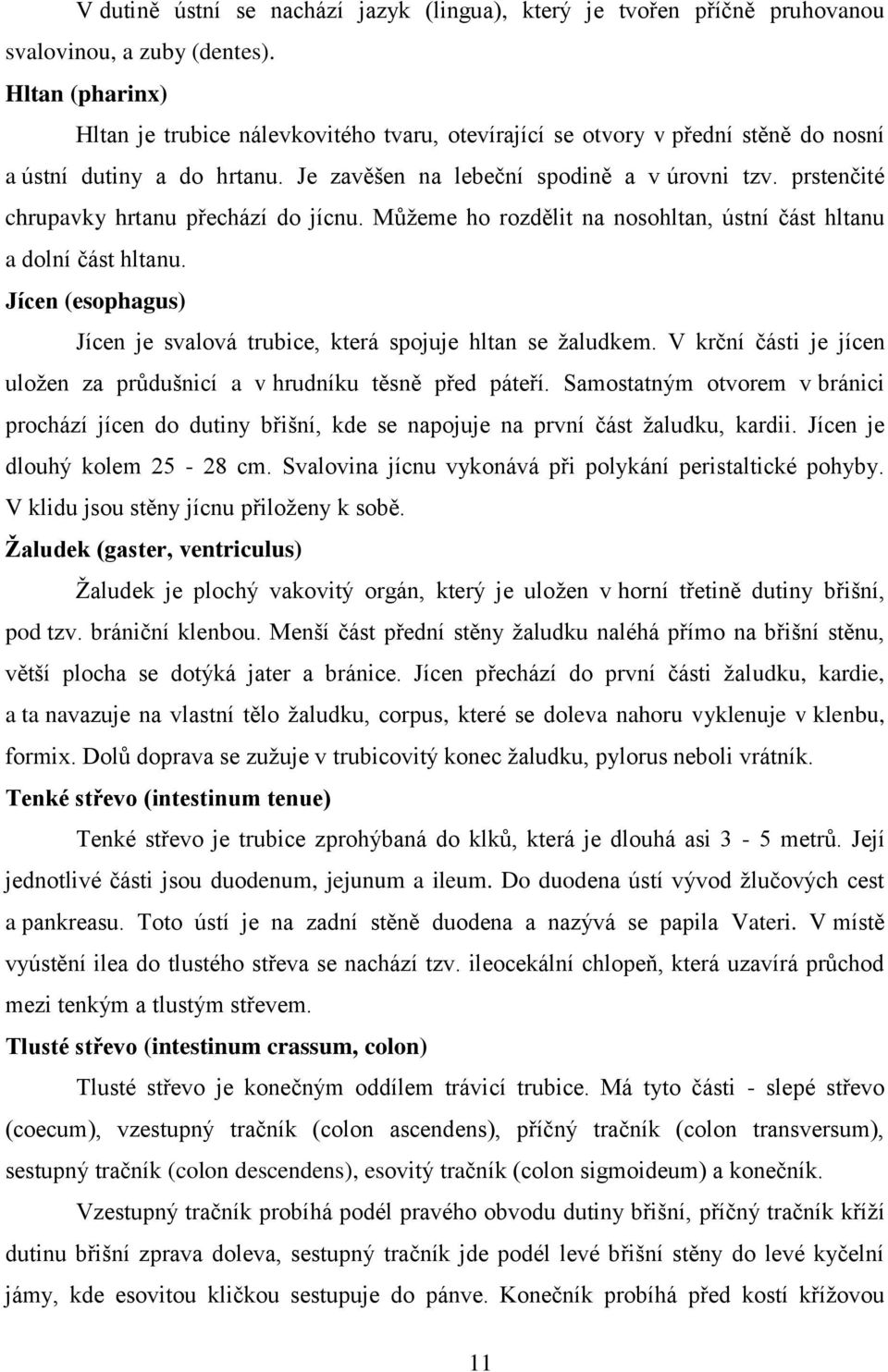 prstenčité chrupavky hrtanu přechází do jícnu. Můžeme ho rozdělit na nosohltan, ústní část hltanu a dolní část hltanu. Jícen (esophagus) Jícen je svalová trubice, která spojuje hltan se žaludkem.