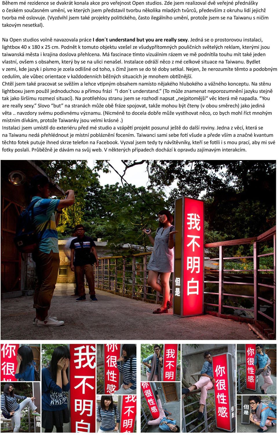 (Vyzdvihl jsem také projekty politického, často ilegálního umění, protože jsem se na Taiwanu s ničím takovým nesetkal).