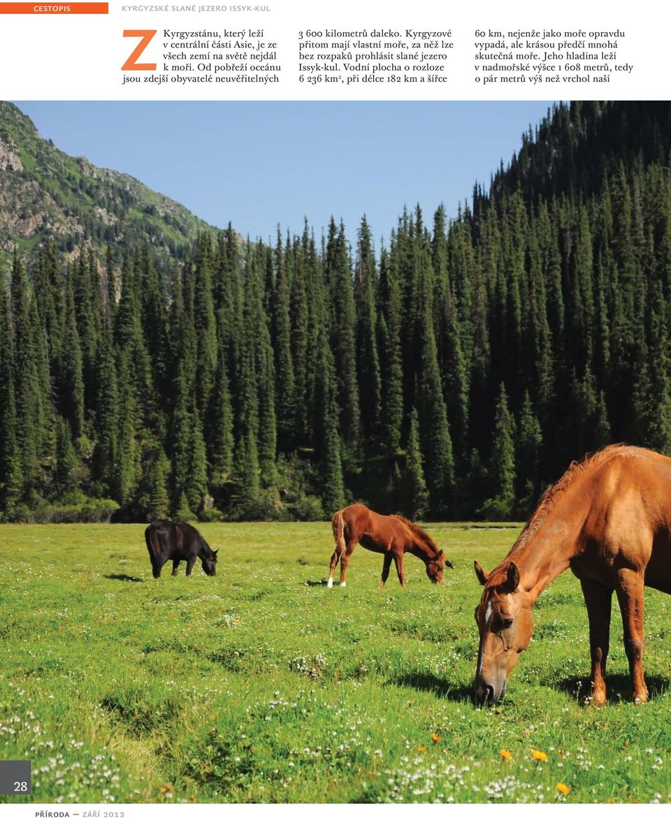 Kyrgyzové přitom mají vlastní moře, za něž lze bez rozpaků prohlásit slané jezero Issyk-kul.