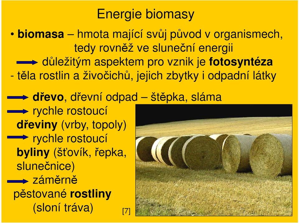 zbytky i odpadní látky dřevo, dřevní odpad štěpka, sláma rychle rostoucí dřeviny (vrby,