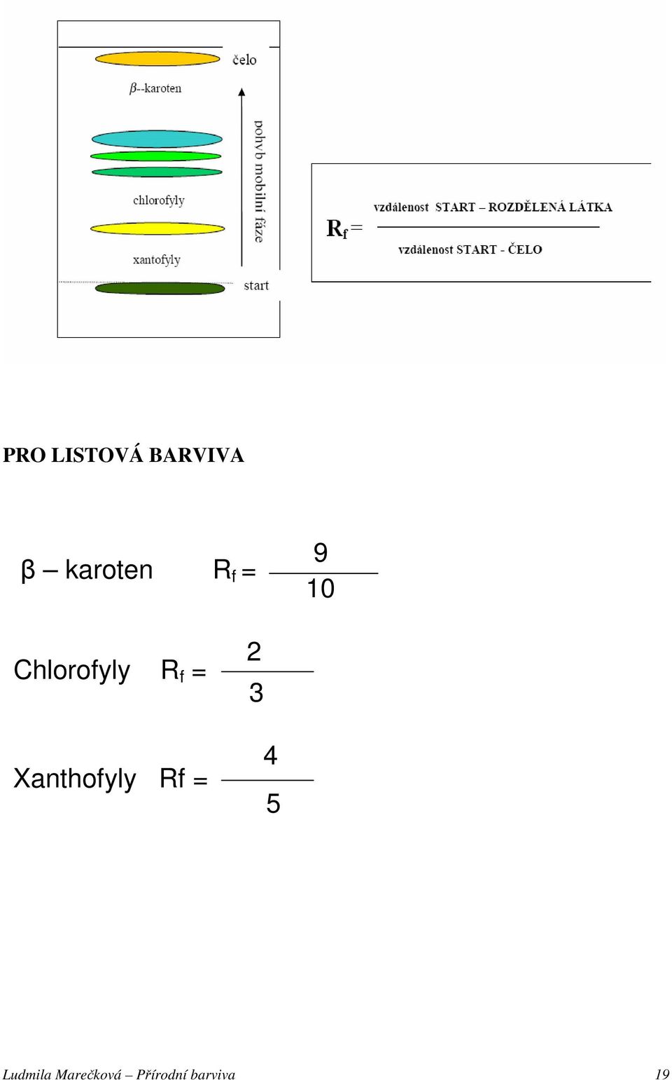 Xanthofyly Rf = 2 3 4 5