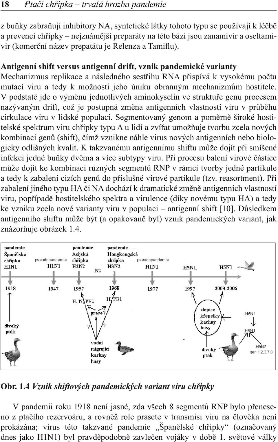 Antigenní shift versus antigenní drift, vznik pandemické varianty Mechanizmus replikace a následného sestřihu RNA přispívá k vysokému počtu mutací viru a tedy k možnosti jeho úniku obranným