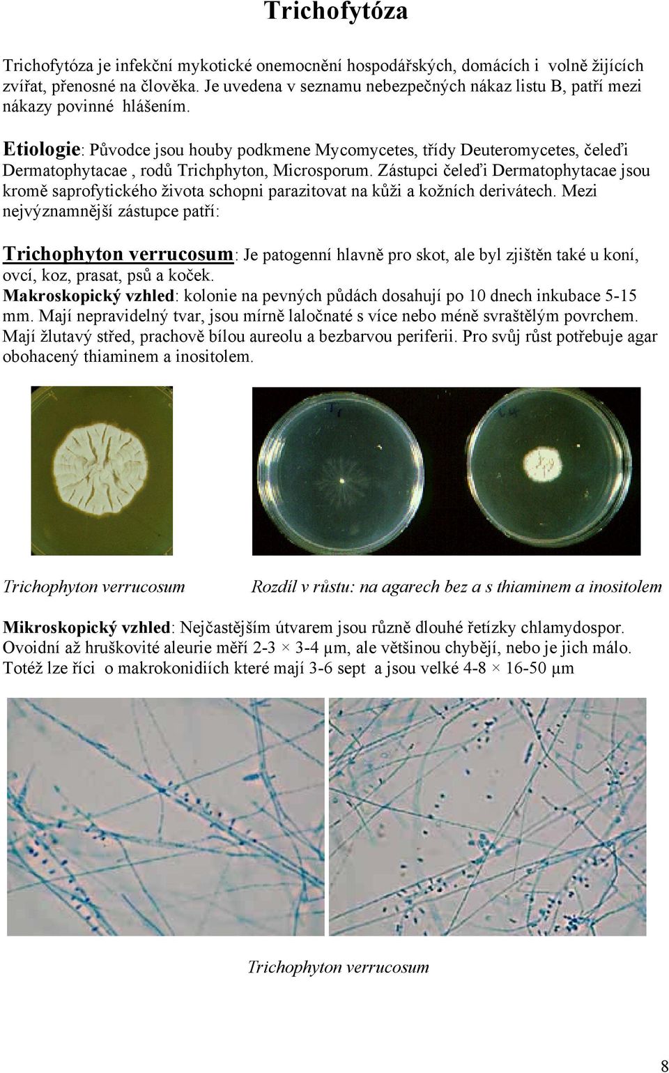 Etiologie: Původce jsou houby podkmene Mycomycetes, třídy Deuteromycetes, čeleďi Dermatophytacae, rodů Trichphyton, Microsporum.