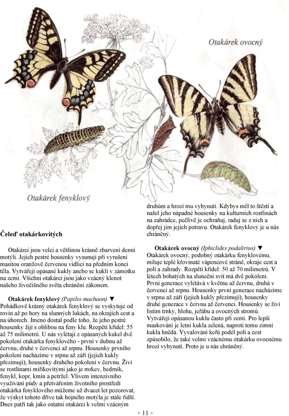 Otakárci jsou velcí a většinou krásně zbarvení denní motýli. Jejich pestré housenky vysunují při vyrušení masitou oranžově červenou vidlici na předním konci těla.