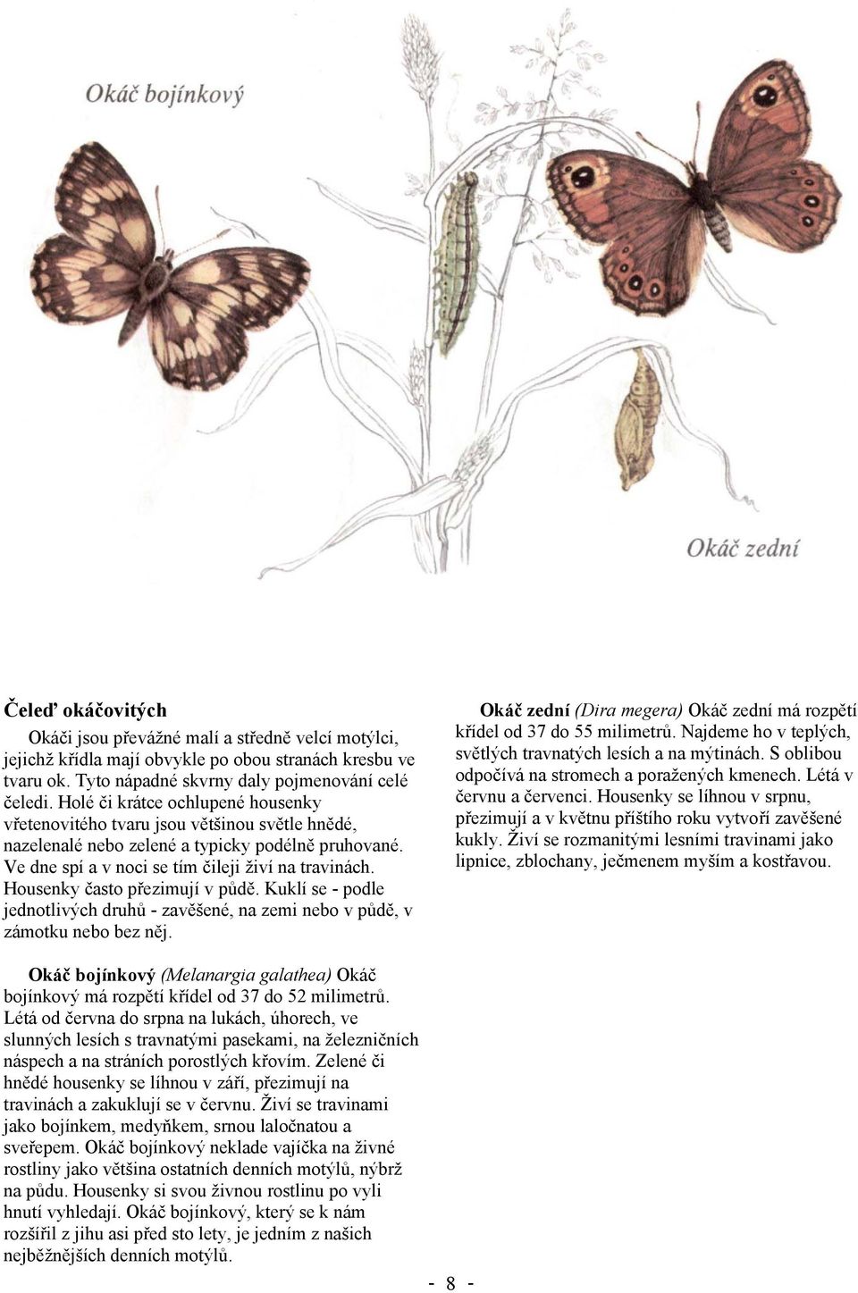 Housenky často přezimují v půdě. Kuklí se - podle jednotlivých druhů - zavěšené, na zemi nebo v půdě, v zámotku nebo bez něj.