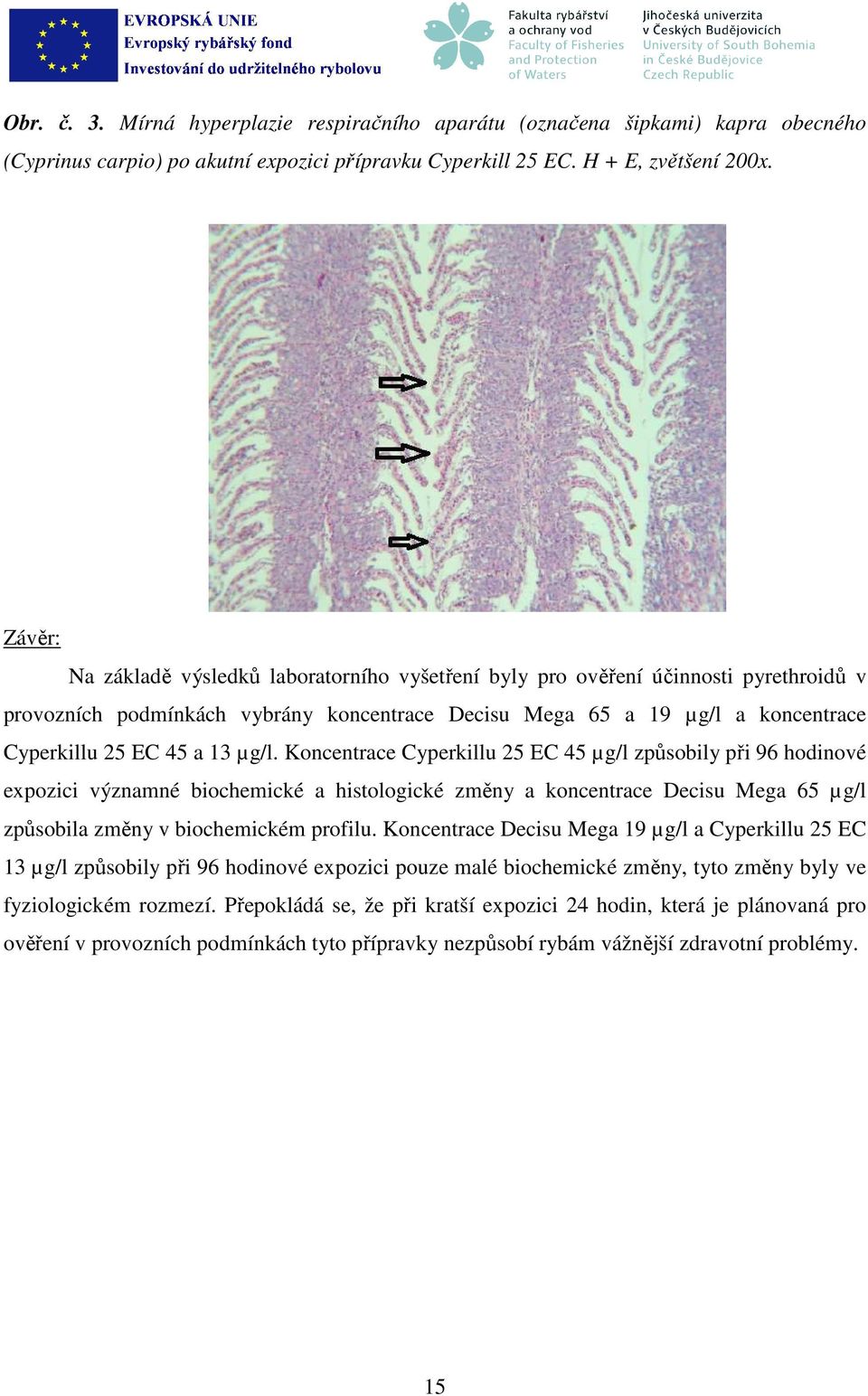 µg/l. Koncentrace Cyperkillu 25 EC 45 µg/l způsobily při 96 hodinové expozici významné biochemické a histologické změny a koncentrace Decisu Mega 65 µg/l způsobila změny v biochemickém profilu.