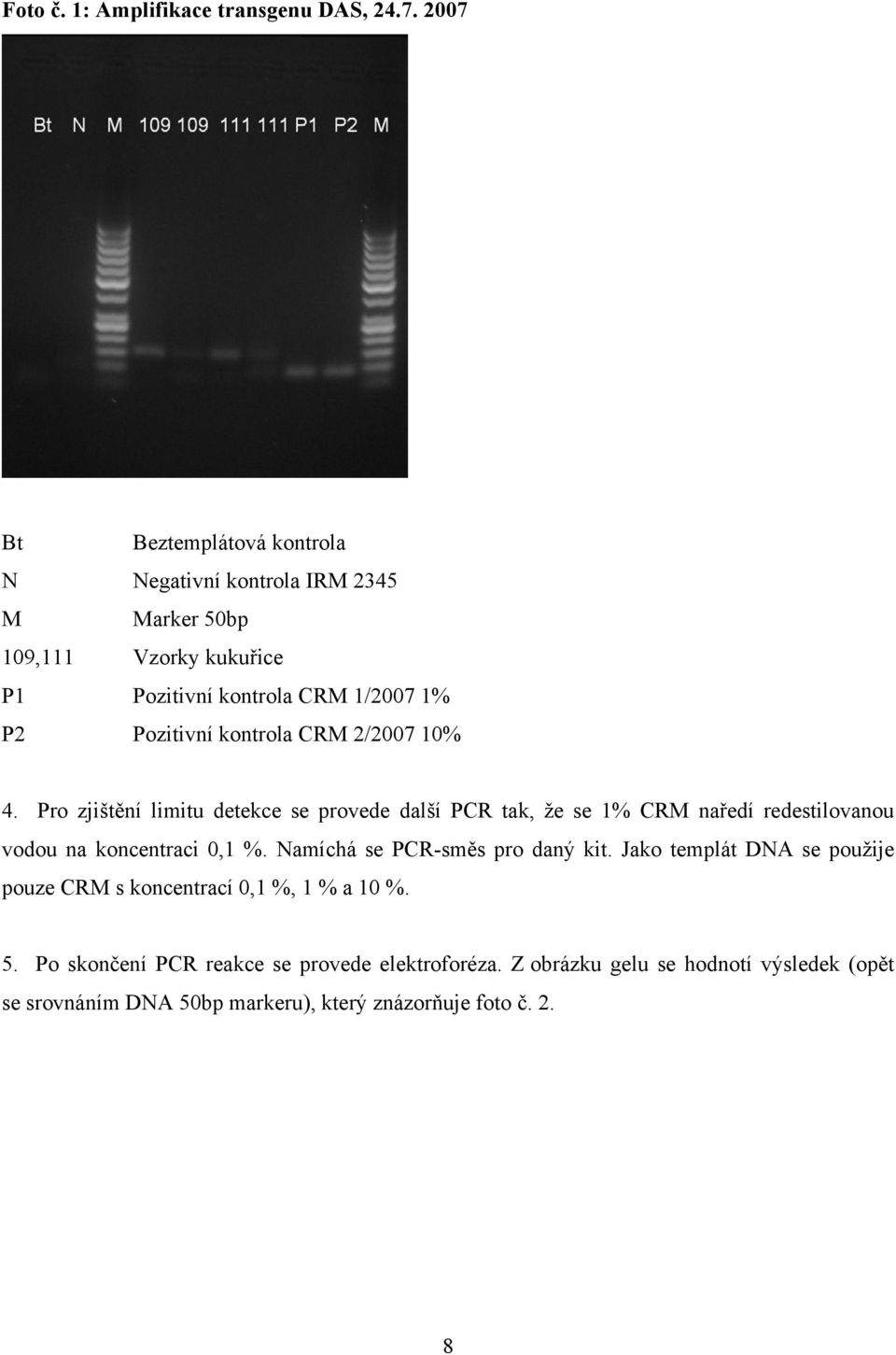 kontrola CRM 2/2007 10% 4. Pro zjištění limitu detekce se provede další PCR tak, že se 1% CRM naředí redestilovanou vodou na koncentraci 0,1 %.