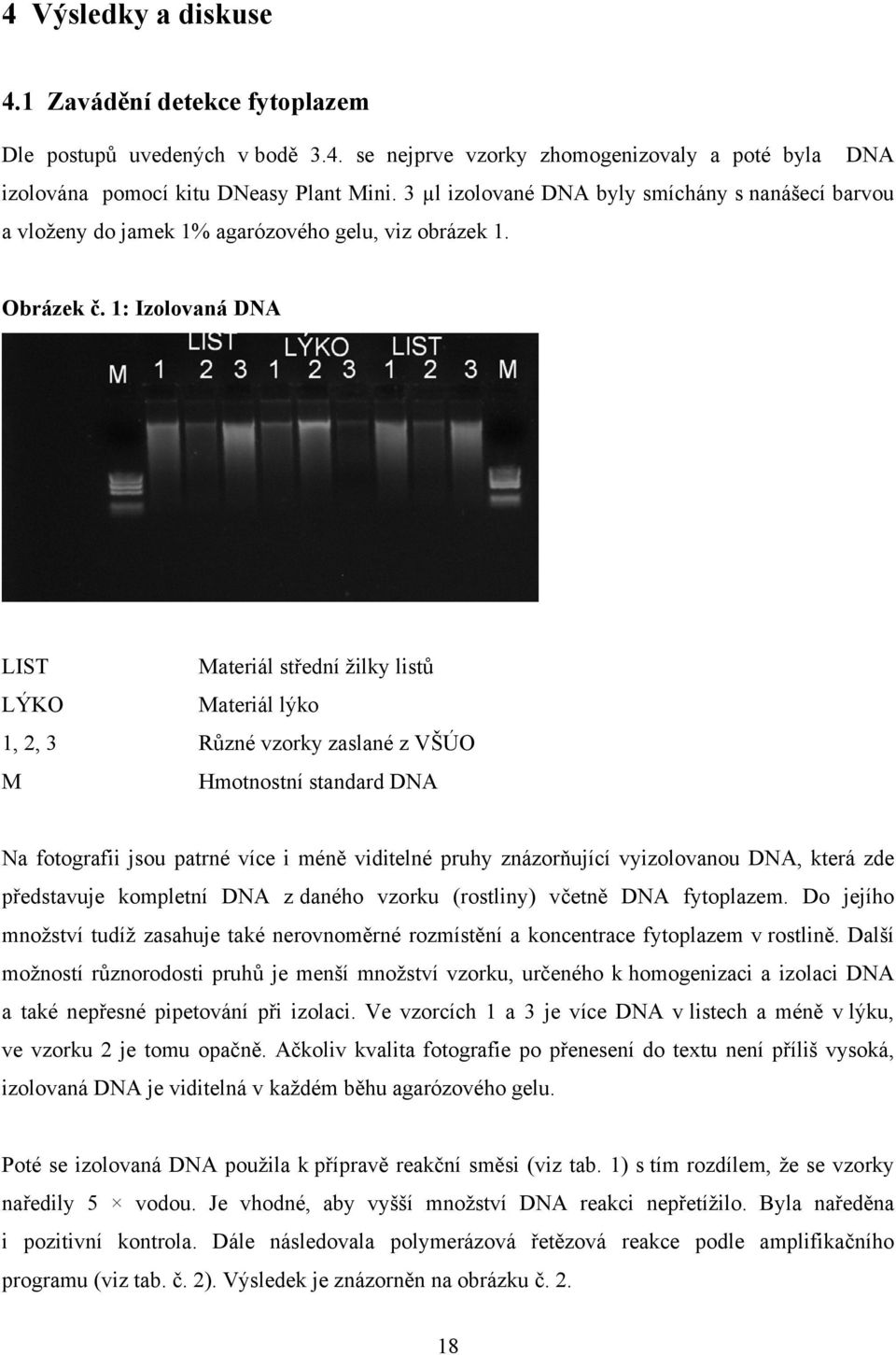 1: Izolovaná DNA LIST Materiál střední žilky listů LÝKO Materiál lýko 1, 2, 3 Různé vzorky zaslané z VŠÚO M Hmotnostní standard DNA Na fotografii jsou patrné více i méně viditelné pruhy znázorňující