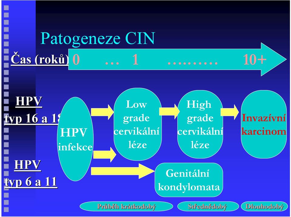 grade cervikální léze High grade cervikální léze