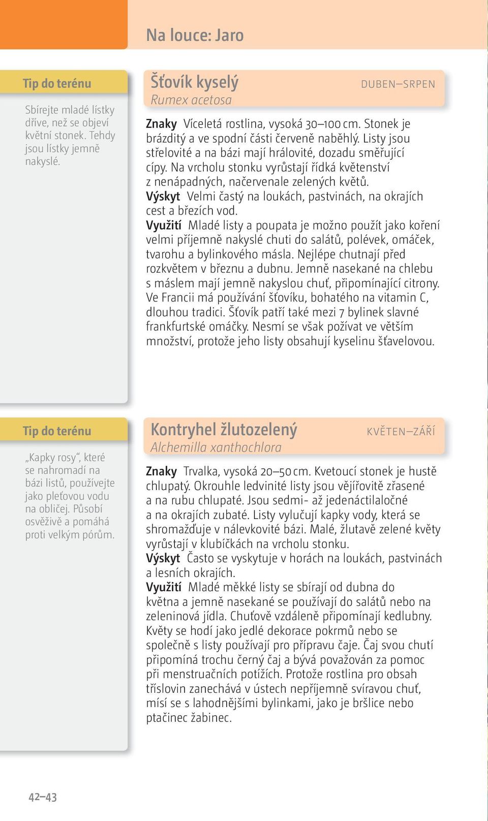 Na vrcholu stonku vyrůstají řídká květenství z nenápadných, načervenale zelených květů. Výskyt Velmi častý na loukách, pastvinách, na okrajích cest a březích vod.