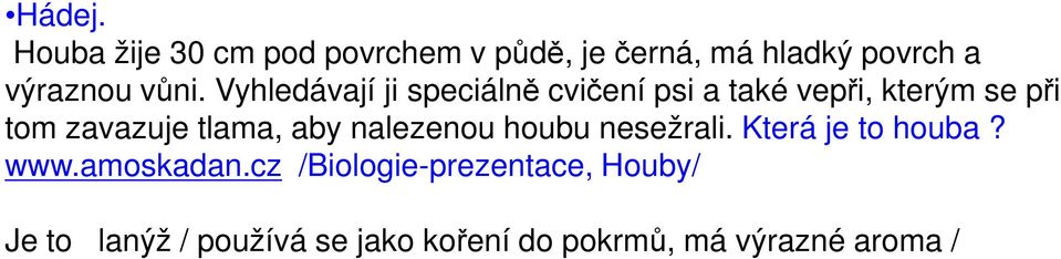 Vyhledávají ji speciálně cvičení psi a také vepři, kterým se při tom zavazuje