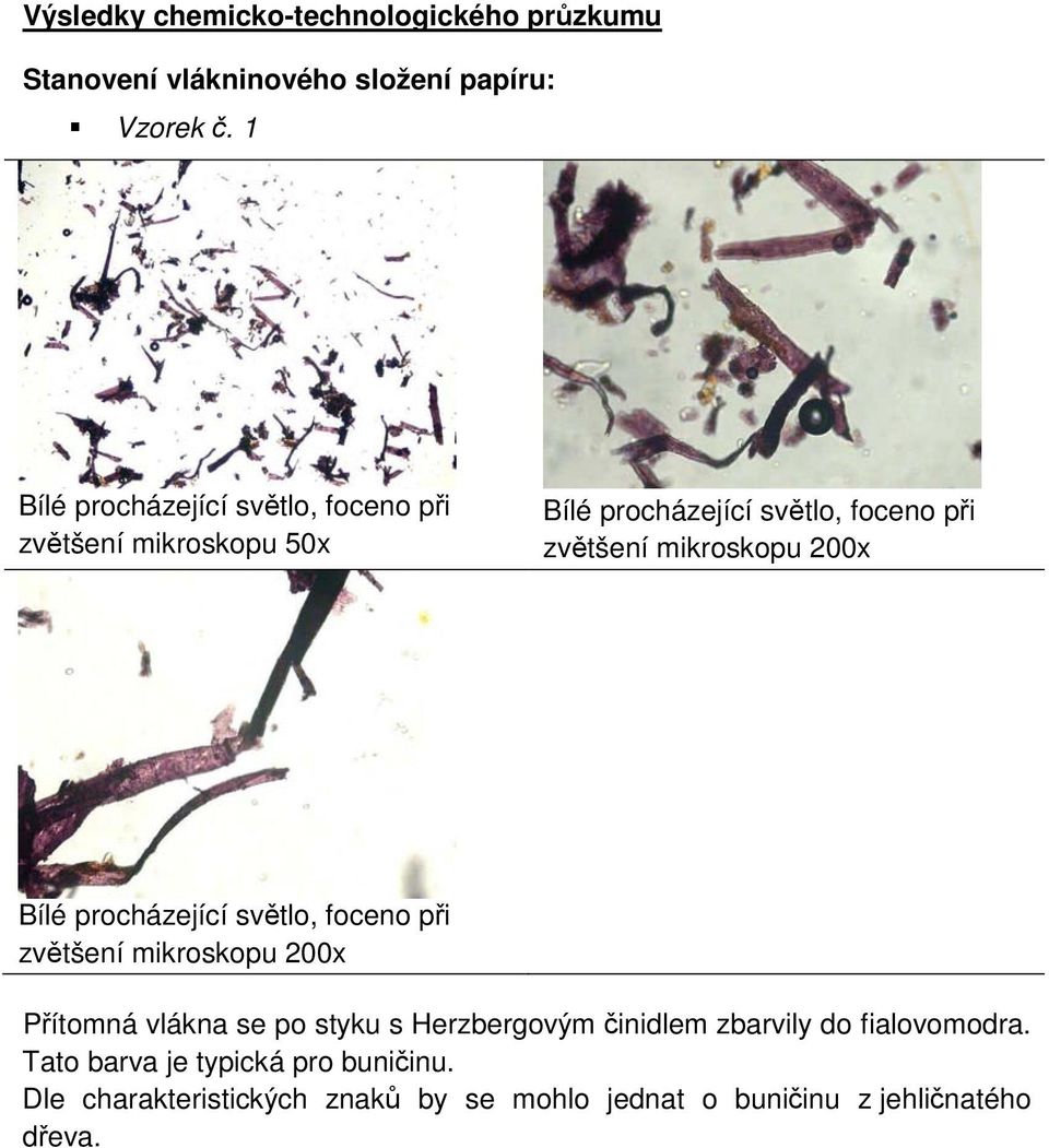 mikroskopu 200x Bílé procházející světlo, foceno při zvětšení mikroskopu 200x Přítomná vlákna se po styku s