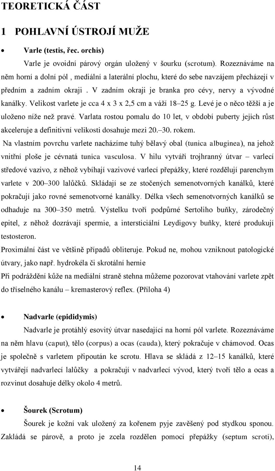 Velikost varlete je cca 4 x 3 x 2,5 cm a váží 18 25 g. Levé je o něco těžší a je uloženo níže než pravé.