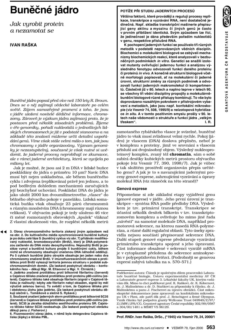 Žijeme v éře genomiky, pořadí nukleotidů v jednotlivých lidských chromozomech je již v podstatě stanoveno a na základě této znalosti můžeme určit detailní uspořádání genů.