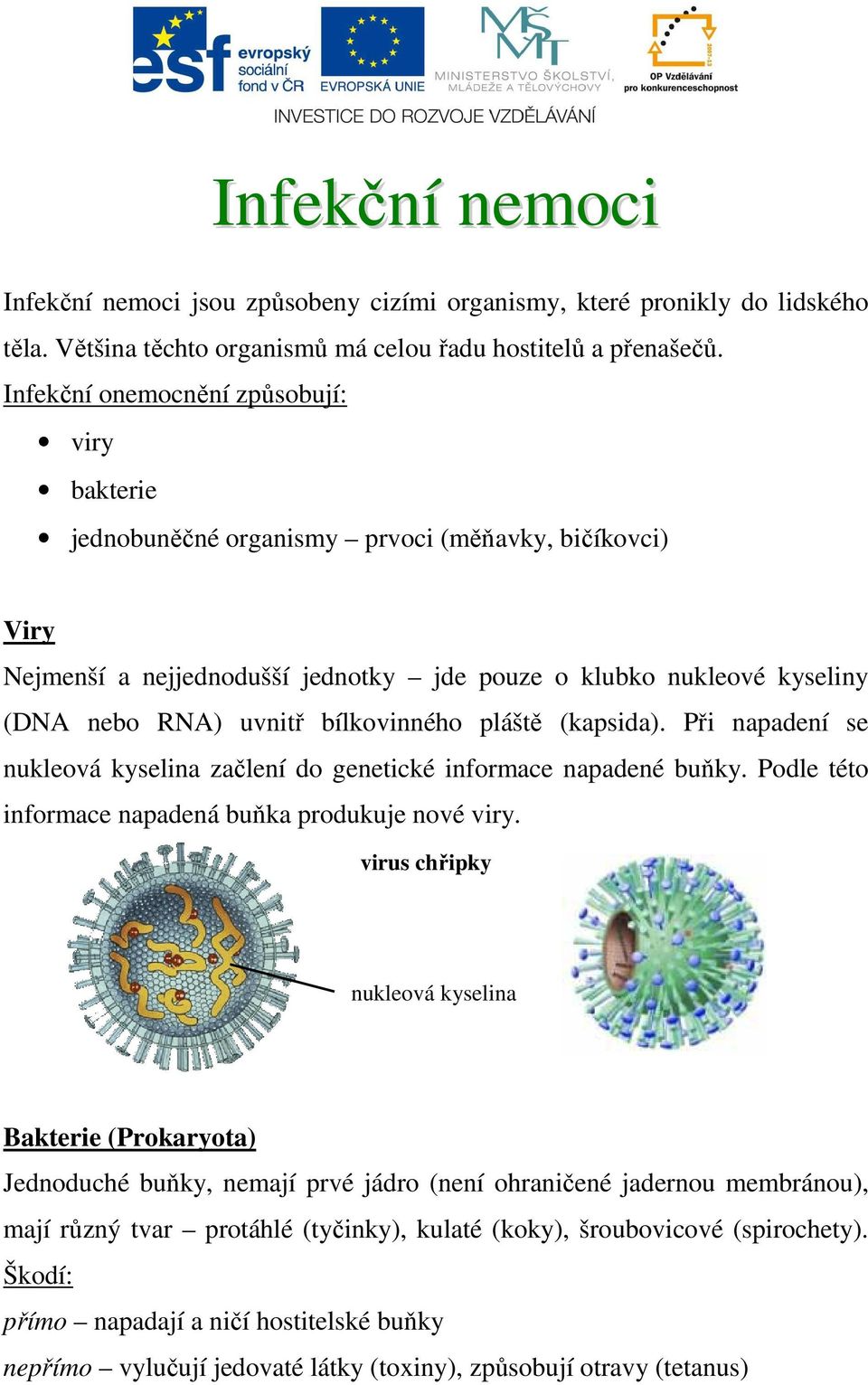 bílkovinného pláště (kapsida). Při napadení se nukleová kyselina začlení do genetické informace napadené buňky. Podle této informace napadená buňka produkuje nové viry.