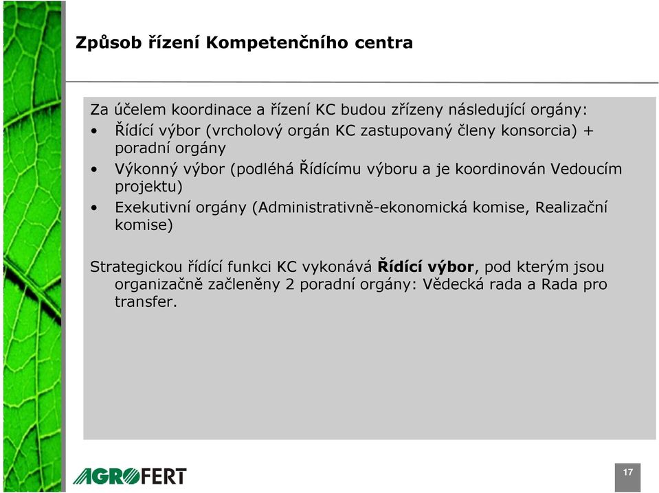 koordinován Vedoucím projektu) Exekutivní orgány (Administrativně-ekonomická komise, Realizační komise) Strategickou