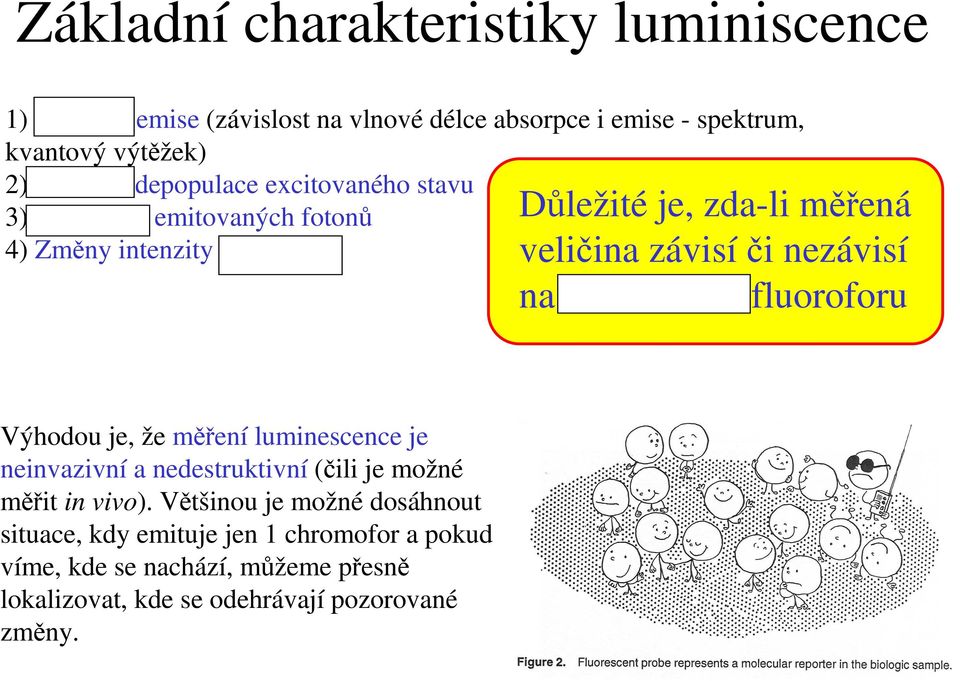 či nezávisí na koncentraci fluoroforu Výhodou je, že měření luminescence je neinvazivní a nedestruktivní (čili je možné měřit in vivo).