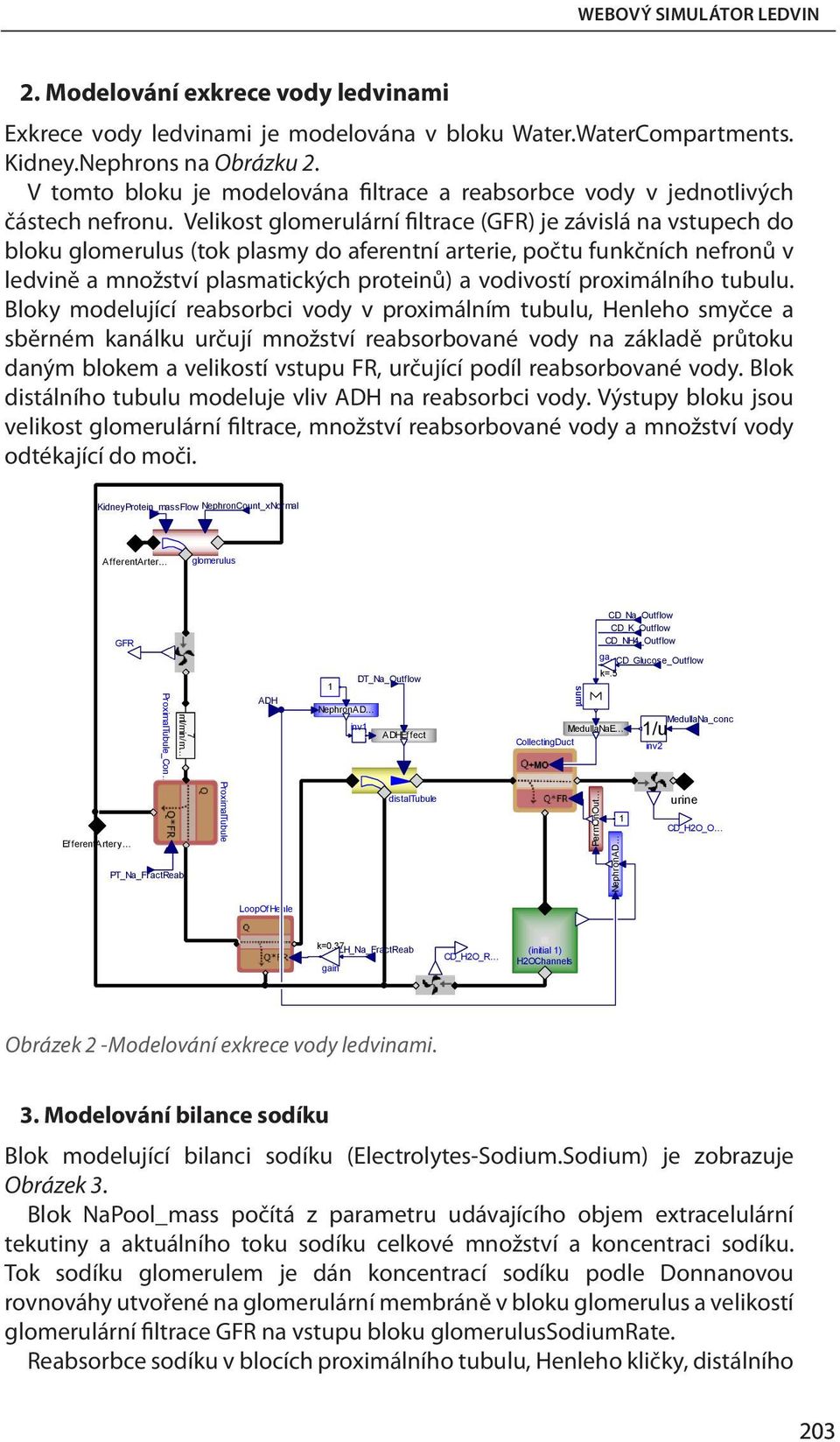 Velikost glomerulární filtrace (GFR) je závislá na vstupech do bloku glomerulus (tok plasmy do aferentní arterie, počtu funkčních nefronů v ledvině a množství plasmatických proteinů) a vodivostí