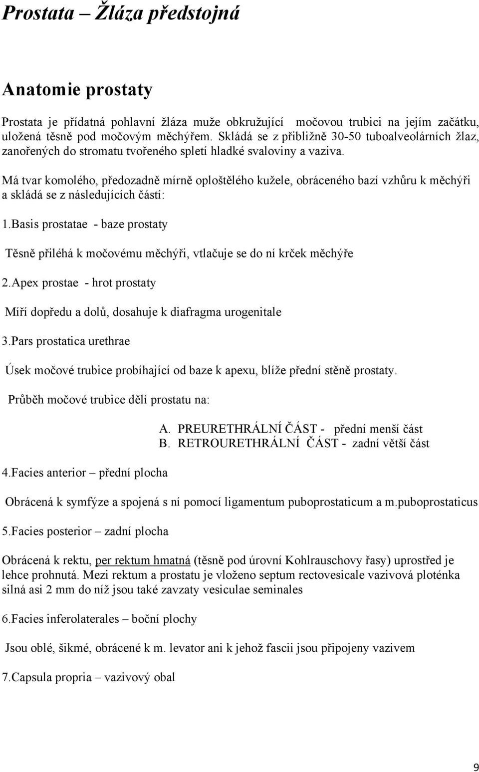 Má tvar komolého, předozadně mírně oploštělého kužele, obráceného bazí vzhůru k měchýři a skládá se z následujících částí: 1.