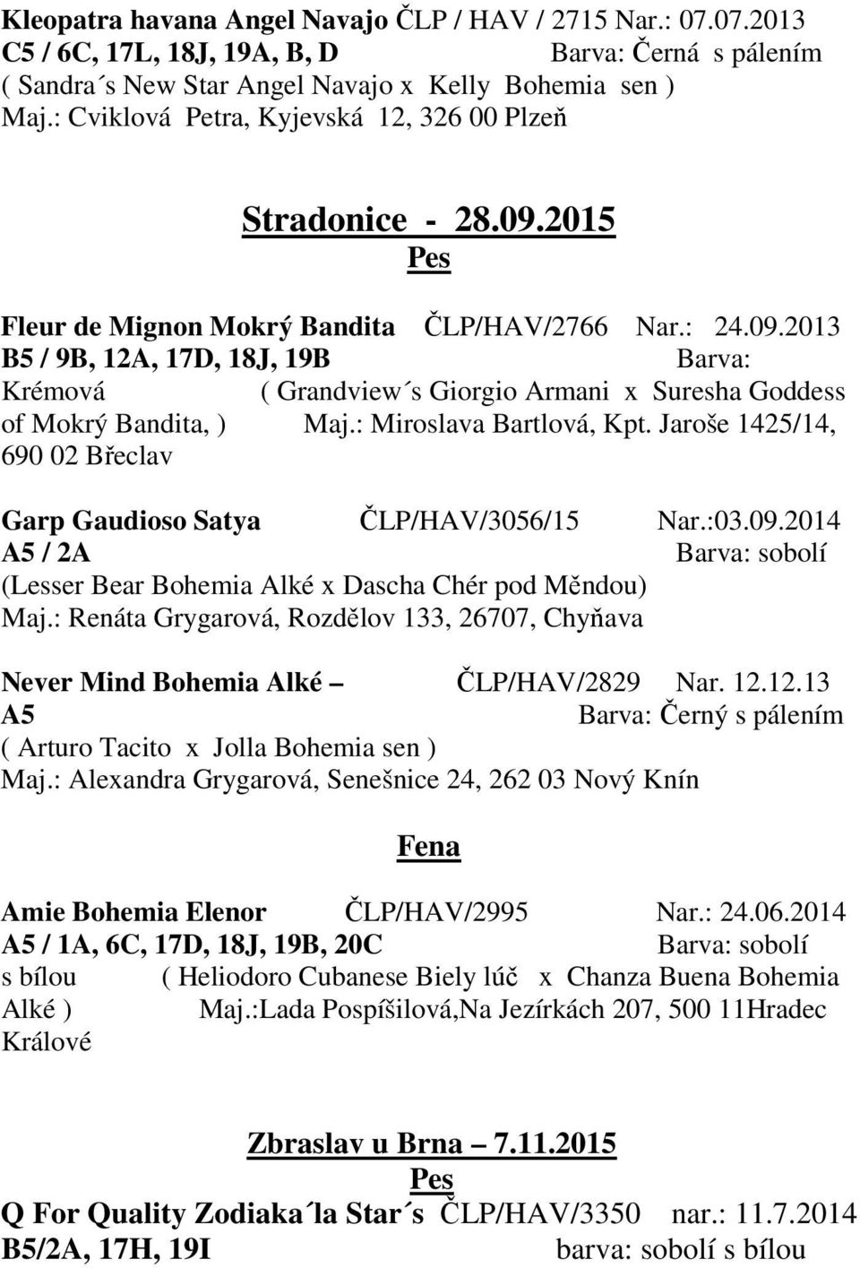 : Miroslava Bartlová, Kpt. Jaroše 1425/14, 690 02 Břeclav Garp Gaudioso Satya ČLP/HAV/3056/15 Nar.:03.09.2014 A5 / 2A Barva: sobolí (Lesser Bear Bohemia Alké x Dascha Chér pod Měndou) Maj.