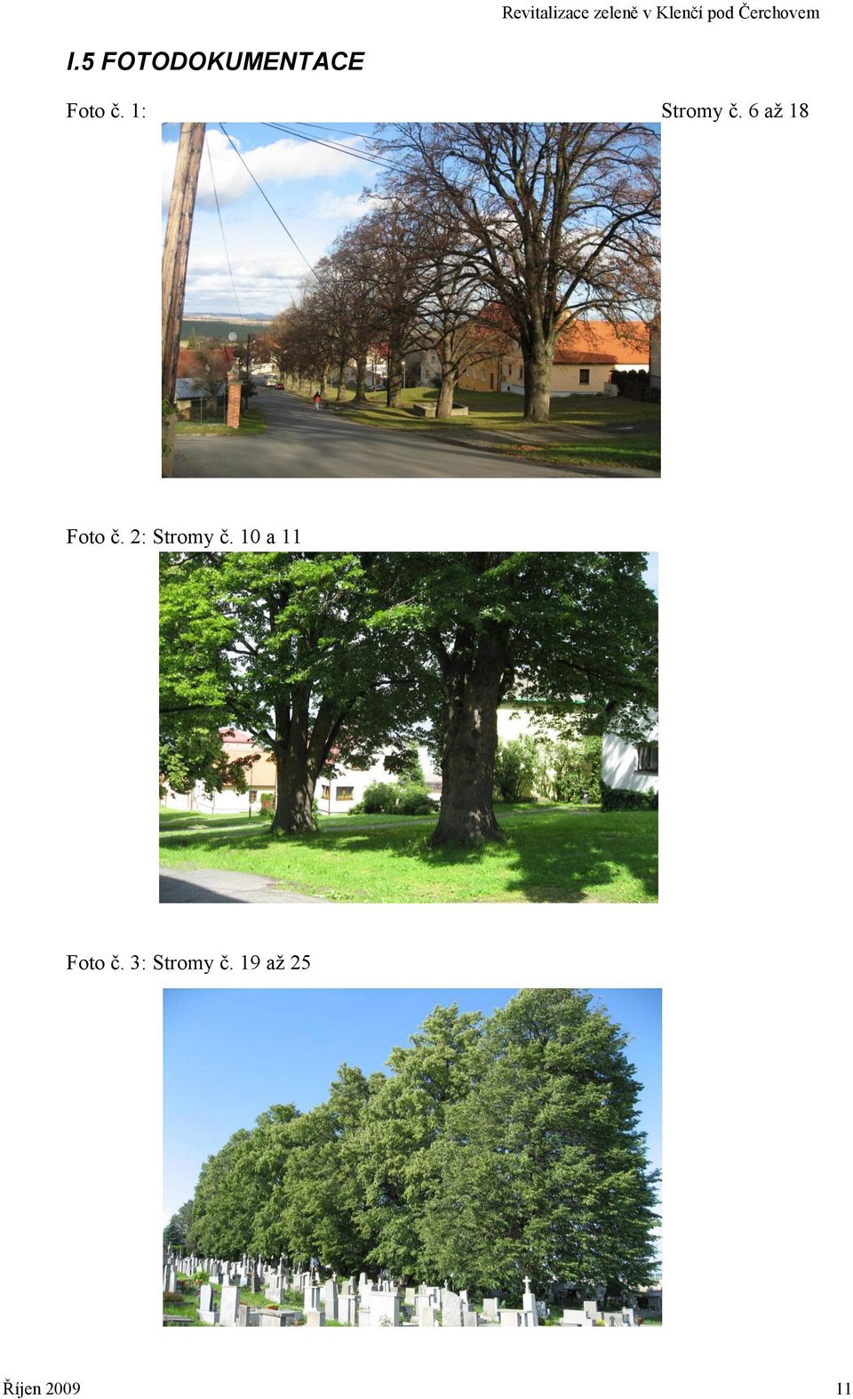 2: Stromy č. 10 a 11 Foto č.