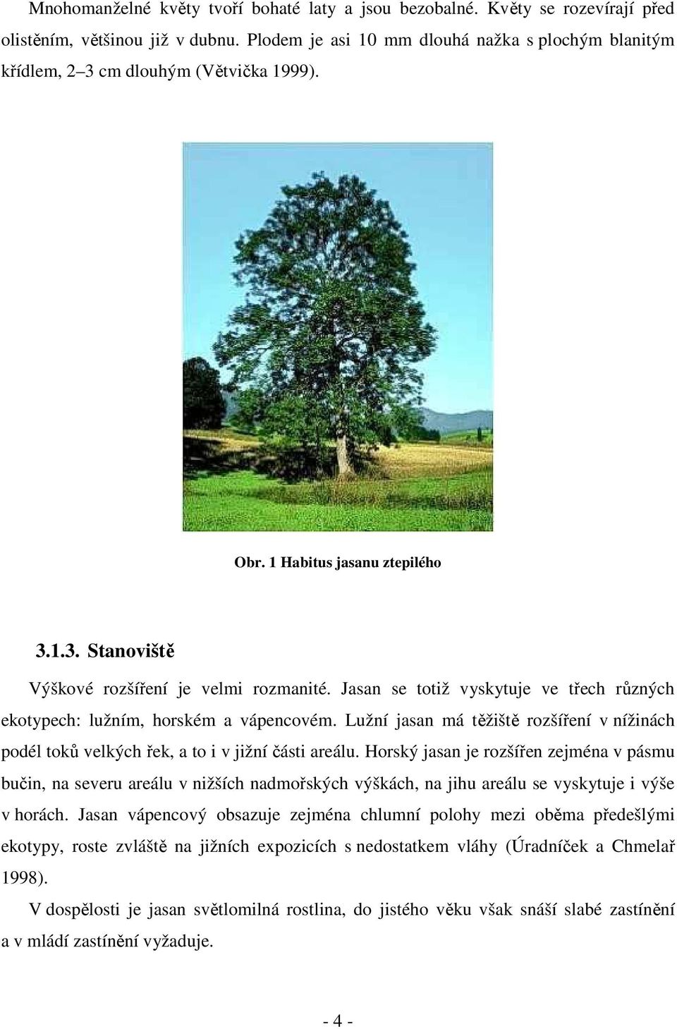 Jasan se totiž vyskytuje ve třech různých ekotypech: lužním, horském a vápencovém. Lužní jasan má těžiště rozšíření v nížinách podél toků velkých řek, a to i v jižní části areálu.