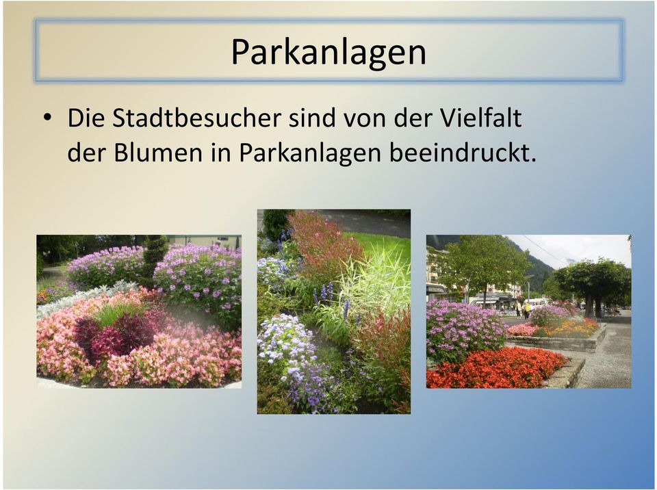 der Vielfalt der