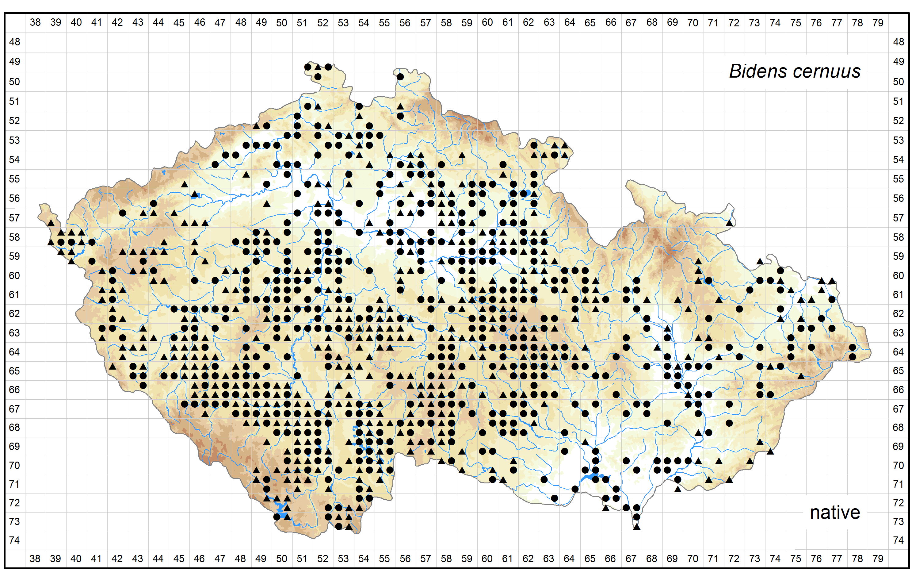 Distribution of Bidens cernuus in the Czech Republic Author of the map: Jitka Štěpánková Map produced on: 12-05-2016 Database records used for producing the distribution map of Bidens cernuus