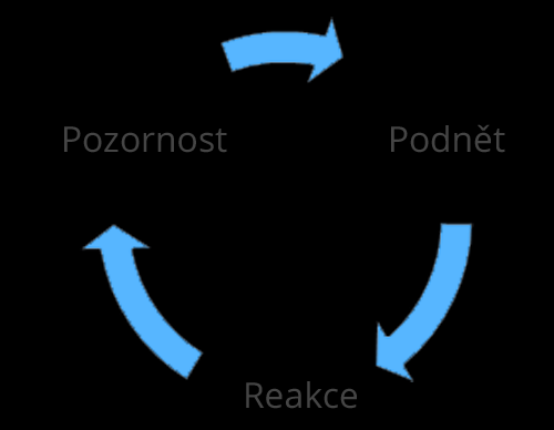 Pracujte systematicky s pozorností a reakcemi návštěvníků Režiséři budují a udržují