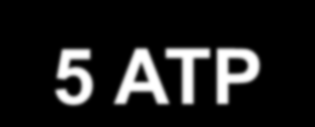 MK Acyl-CoA -2 ATP Počet cyklů (n - 2) : 2 [(n - 2) / 2] FADH2 [(n - 2) / 2] NADH (n / 2 ) acetyl-coa