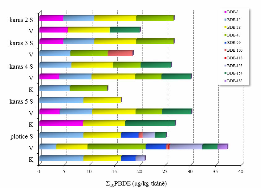 Naproti tomu hodnoty kontaminace PBDE u 3 jedinců štiky obecné patřily k těm nejnižším z celého analyzovaného souboru vzorků a pohybovaly se v rozmezí 16,2 19,2 µg/kg kůže a 12,3 22,7 µg/kg svaloviny.