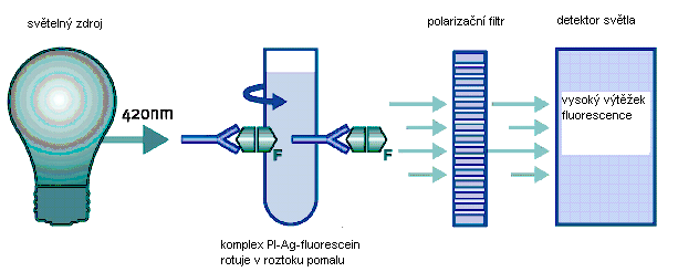 Stručný souhrn jednotlivých kroků při analýze MEIA: Pacientský vzorek se stanovovaným antigenem se přidá k latexovým částicím s navázanými protilátkami proti tomuto antigenu.
