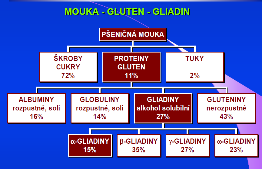 Gluten a autoimunita Gluten - obilné bílkoviny, odolné enzymatické degradaci žaludku, enzymům slinivky břišní, proteázám kartáčového lemu Glutamin - region 31-49 LGQQQPFPPQQPYPQPQPF P-prolin,