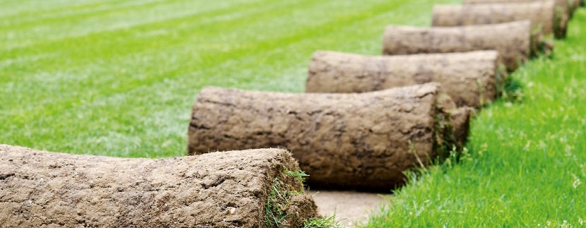 Předepsaná skladba hracích ploch s drenáží Nezávisle na povrchu mají hrací plochy podobný způsob výstavby (skladbu vrstev).