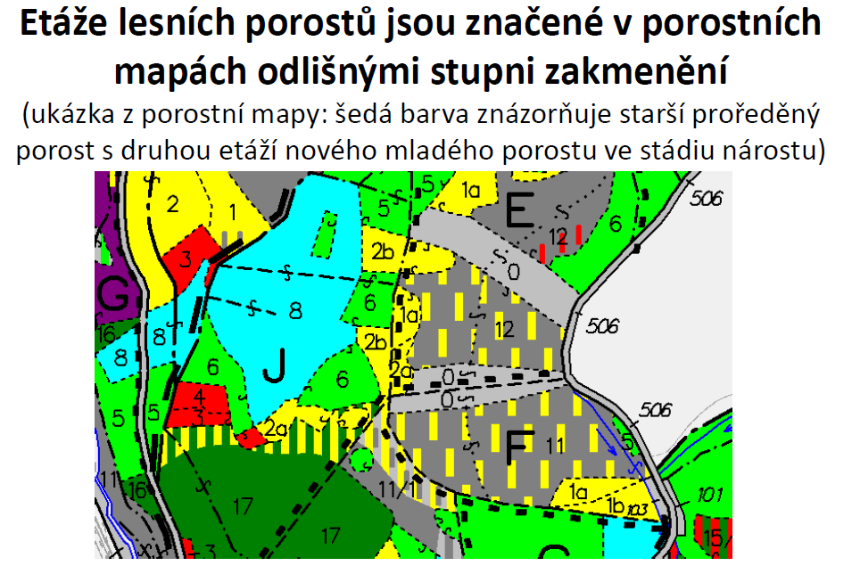 Pokud budeme v přírodě hledat přirozeně jednovrstevné (jednoetážové) porosty nalezneme je v případě bučin a borů na kyselých, živinově chudých půdách.