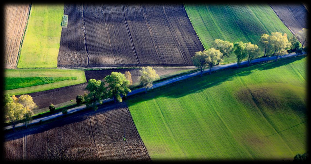 Realizace komplexních pozemkových úprav, zeleň pro klimatickou změnu Krajský pozemkový