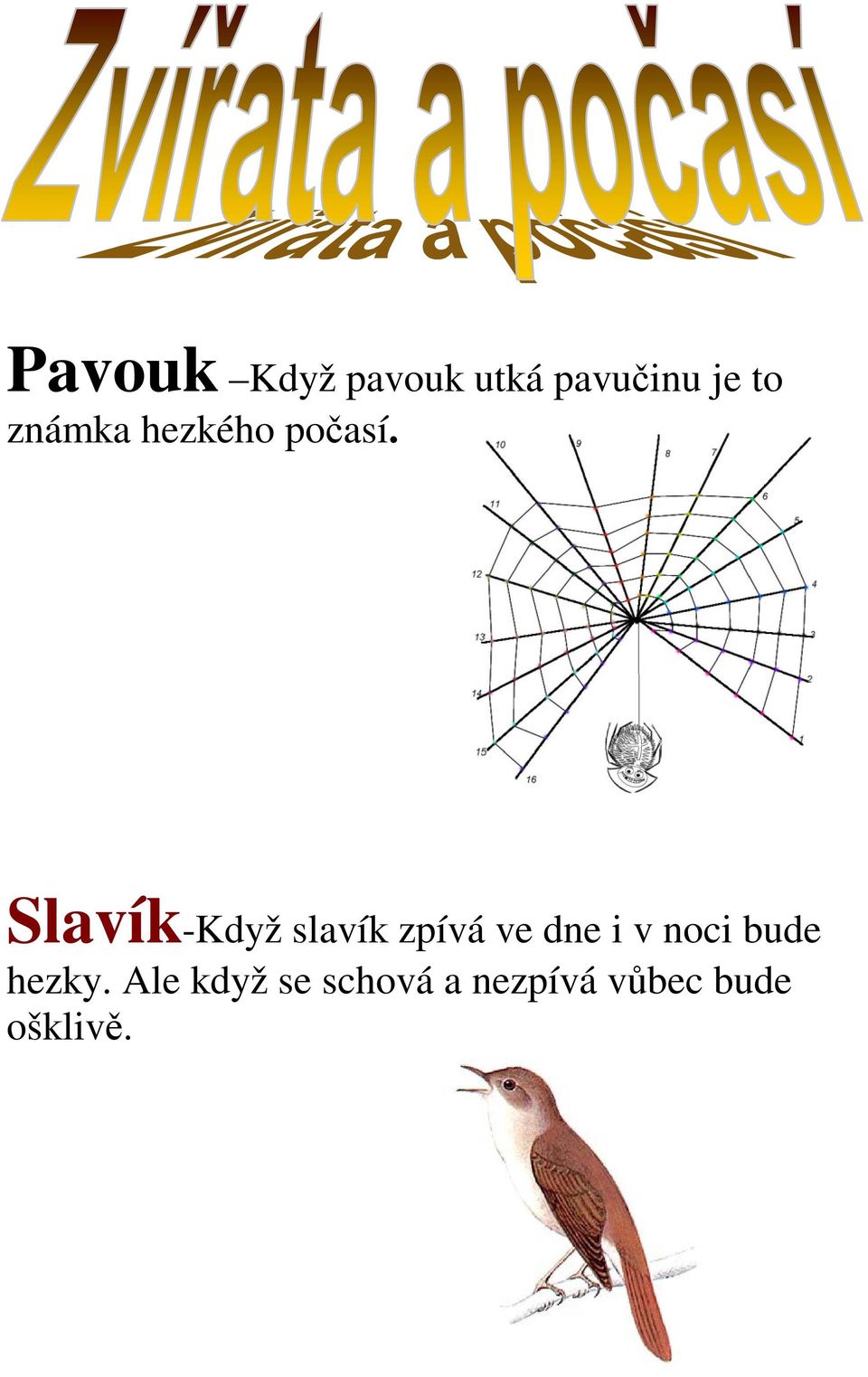 Slavík-Když slavík zpívá ve dne i v