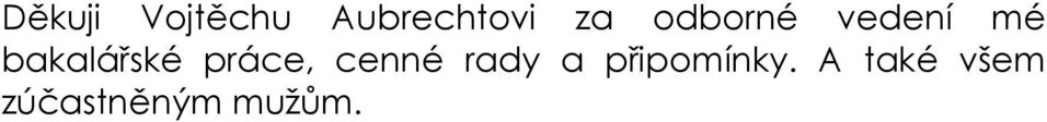 práce, cenné rady a připomínky.