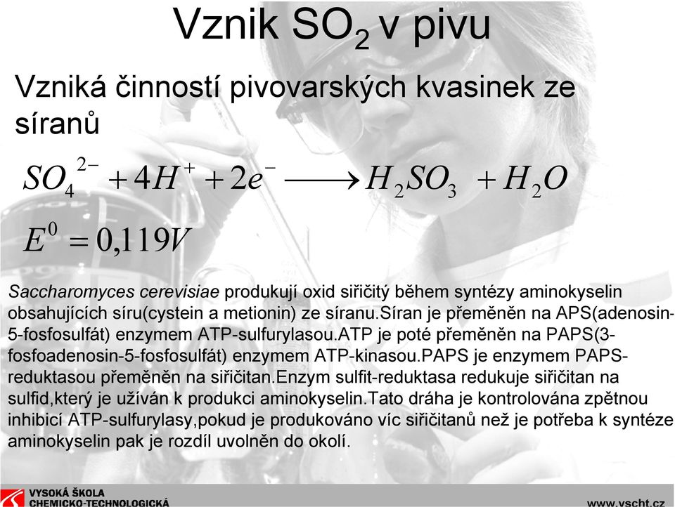 ATP je poté přeměněn na PAPS(3- fosfoadenosin-5-fosfosulfát) enzymem ATP-kinasou.PAPS je enzymem PAPSreduktasou přeměněn na siřičitan.