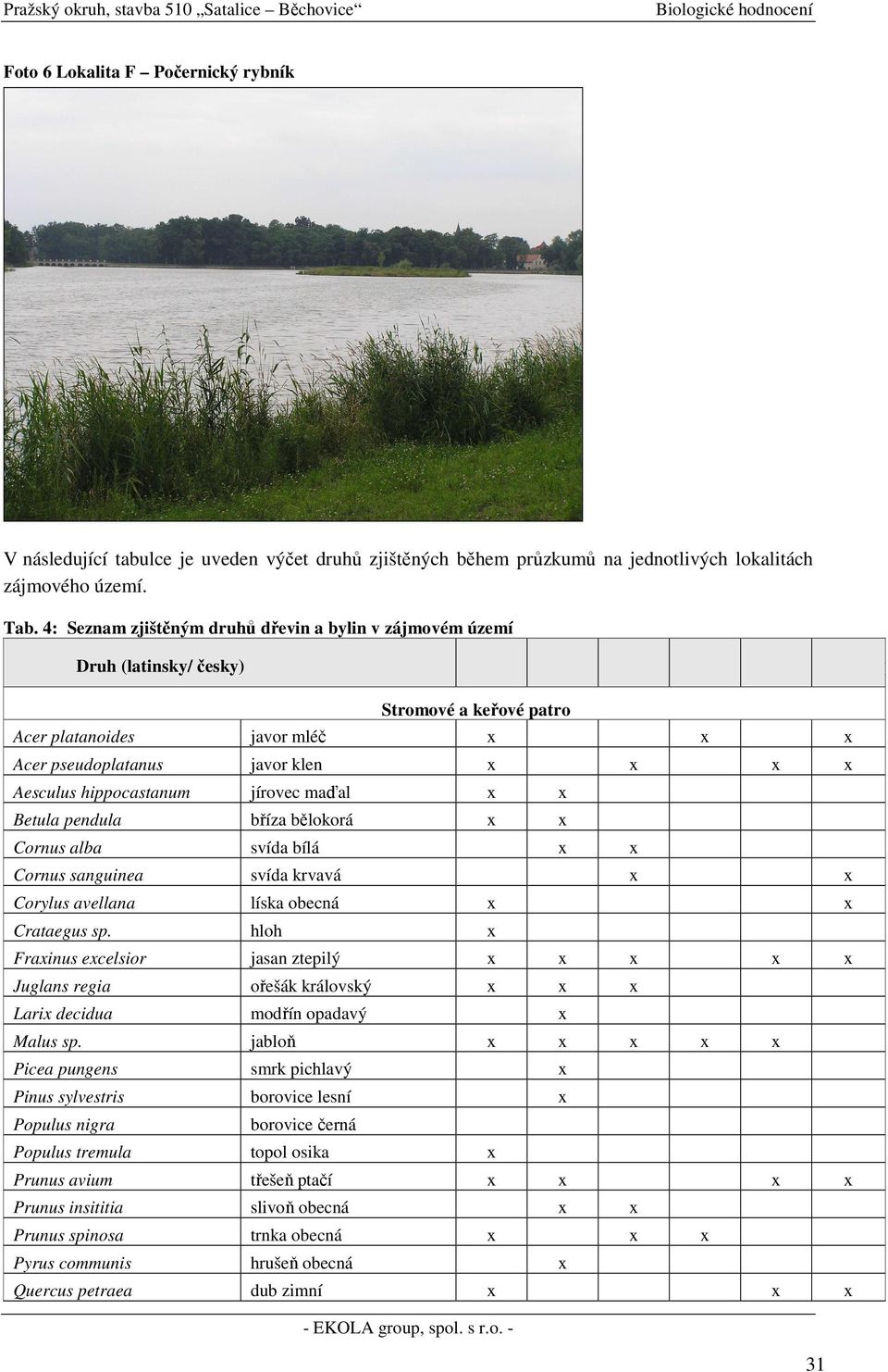 hippocastanum jírovec maďal x x Betula pendula bříza bělokorá x x Cornus alba svída bílá x x Cornus sanguinea svída krvavá x x Corylus avellana líska obecná x x Crataegus sp.