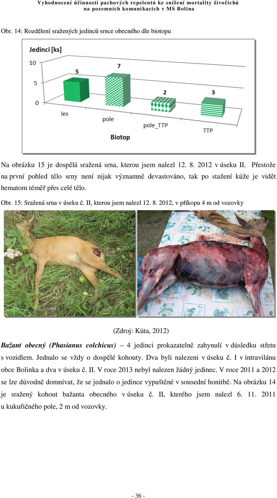 2012, v příkopu 4 m od vozovky (Zdroj: Kůta, 2012) Bažant obecný (Phasianus colchicus) 4 jedinci prokazatelně zahynulí v důsledku střetu s vozidlem. Jednalo se vždy o dospělé kohouty.